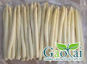 IQF white asparagus