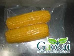 Sweet corn on cob,vacuum pack