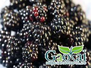 IQF organic blackberry